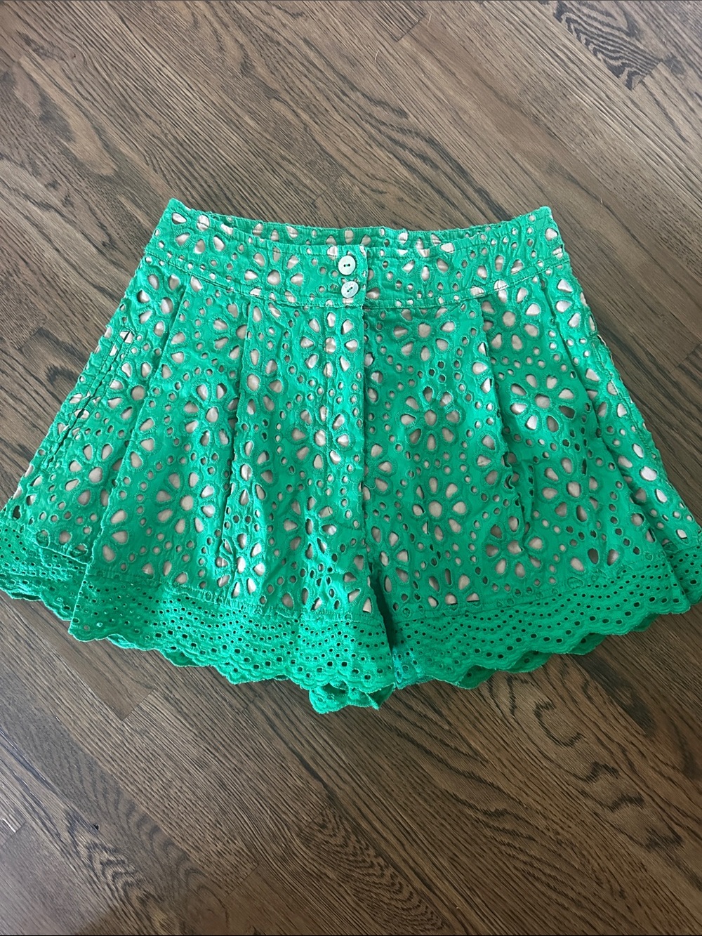 Hope for Flowers by Tracy Reese Green Eyelet Shorts - Picture 7 of 7